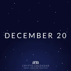 #355  |  DECEMBER 20