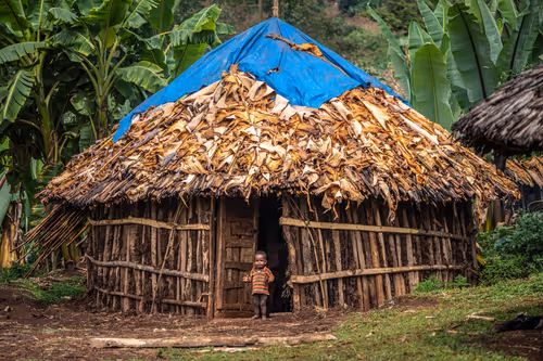 Item #50027882237522295676960542276708360859068113986169674979910834128506562019329 Media