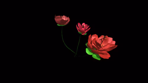 ValeryGrancher Collection