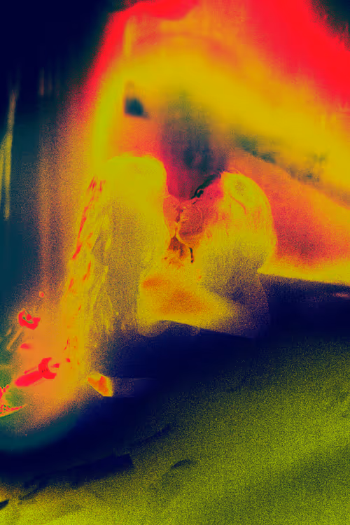 Item #66441873994140045921999615283650104973925355742064477402839904795112096399361 Media