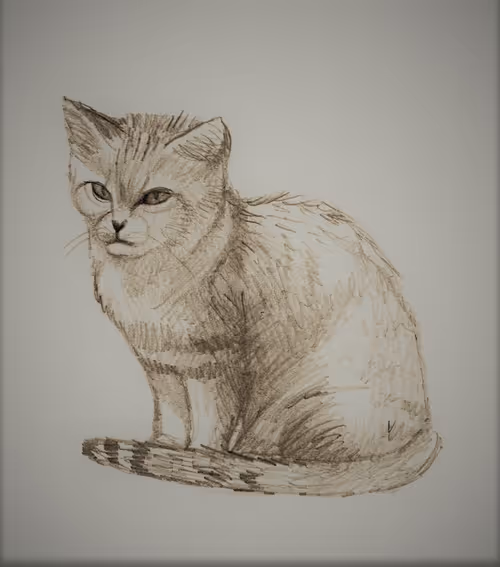 Item #87883982563548896156173273073311949349227832821520783142673990974426320994305 Media