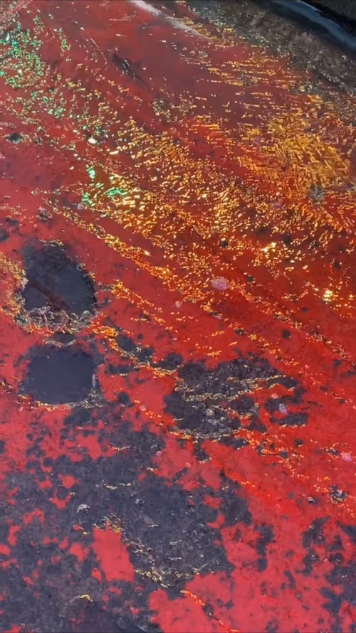 Item #62402000334580523921237358418718502457721815832787791947048085163954713657345 Media