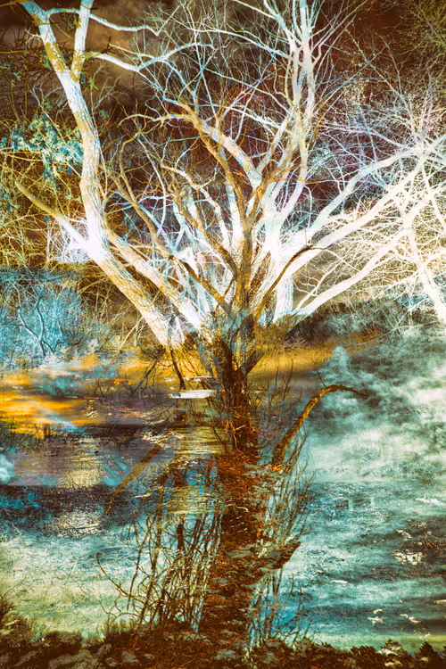 Item #43070642994582151386358674044565282189823590149162061953262107346469140824065 Media