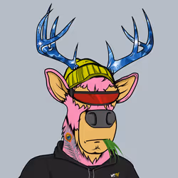 83888290029403042780182765487788199750943582207062304222736795064428222480385