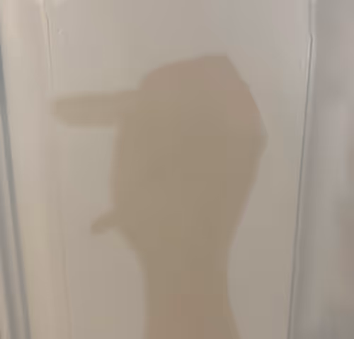 Item #85906662622493889269525054120390254351192400408264024505621426705423656812545 Media