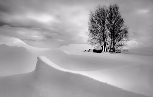 Item #41307754128955213419929316097644134962608763953462543917876022998138229882881 Media