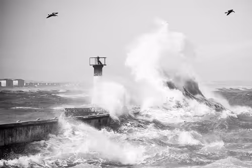 Item #9465970919991825070381387110769562952088497977437425311300914662513817157633 Media