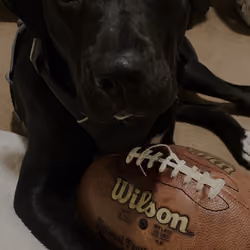 Beasley Football 1/1