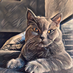 Gangster Cat