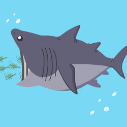 Basking Shark #6