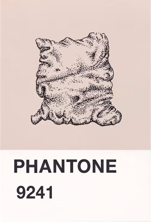 Item #23619072769629648887099014645842319039725167025197022934232545177196006735873 Media