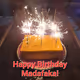 The Sponge Cake Birthday Collection
