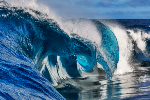 Untitled Collection #261976269