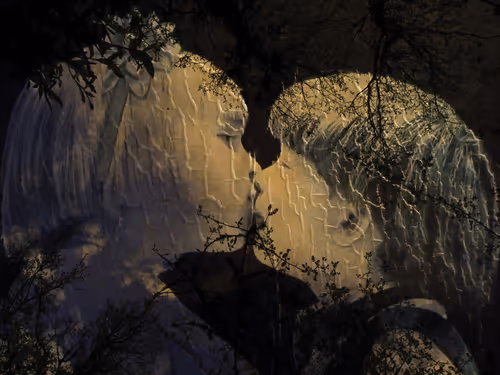 Item #1448819722811812157553440872911488319417736624981688873626406972799137611777 Media