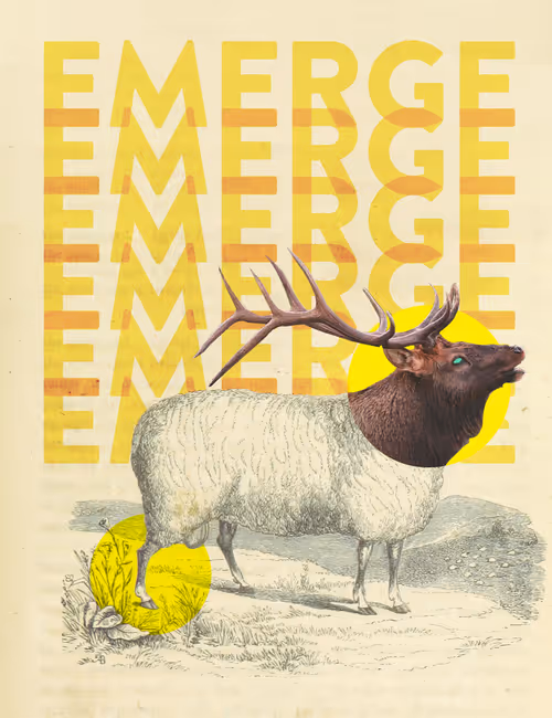 Item #38564597034361499404624058733000007751074283871891055372290281503280834019329 Media