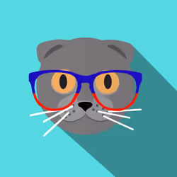 the geek scottish fold #31