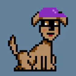 PunkDog #562