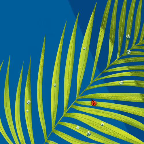 Item #22595162815532753526113839877592438025422193508415084898168917329205251801089 Media