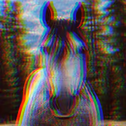 Distorted Horse