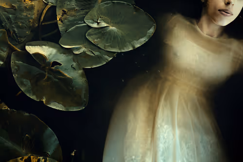 Item #106458335248206439208009711256162525966669270428378996630819471348375536795649 Media