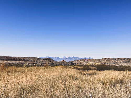 Item #42956466618878321387532578261577756492161920653755194423256676471420634529793 Media