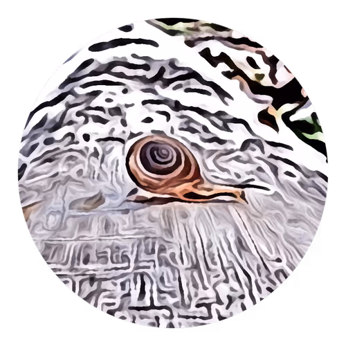 Item #73474911565276893363269127585336255498112534630235322163062143096343381409793 Media