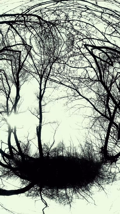 Item #24967146477419090921560663038626653354572651960968859782515528584587473059841 Media