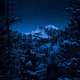 Still of the Night