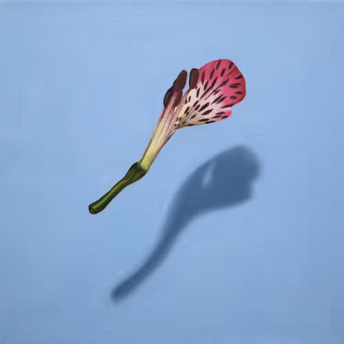 Fragile I