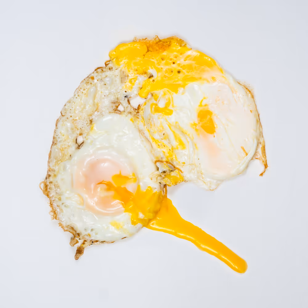 Fried Egg 097