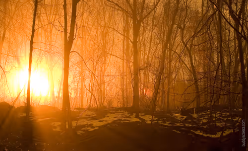 Item #90521258076557778699200481217094878985775921585084658279791808968179666911233 Media