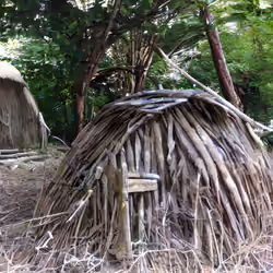 Primitive hut #1