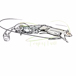 73400403877540553502223880377047479438719384571506436692256300099558262702081