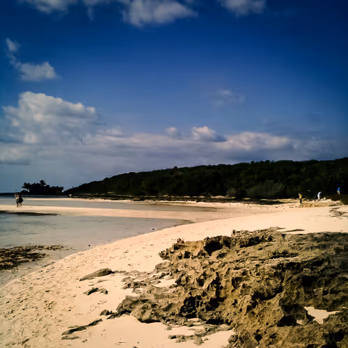 Item #21926675412478956437867617810974213951134164027418523158913384682014917001217 Media