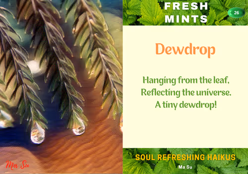 Item #6057597409106756895605825403941160326146643318688318732415003485331959840769 Media