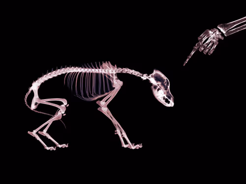 Item #110773249550999683396451680268898954302169662555248221071322176219541286158337 Media