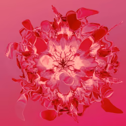 Dysmorphic Flora: Merlot 1/1