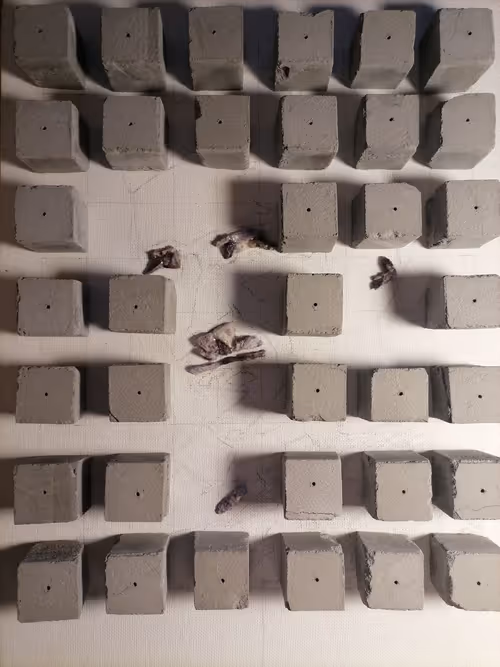 Item #53323516583965133584391269845246755532098013189526444759390359897423533309953 Media