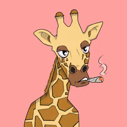 Blazed Giraffe
