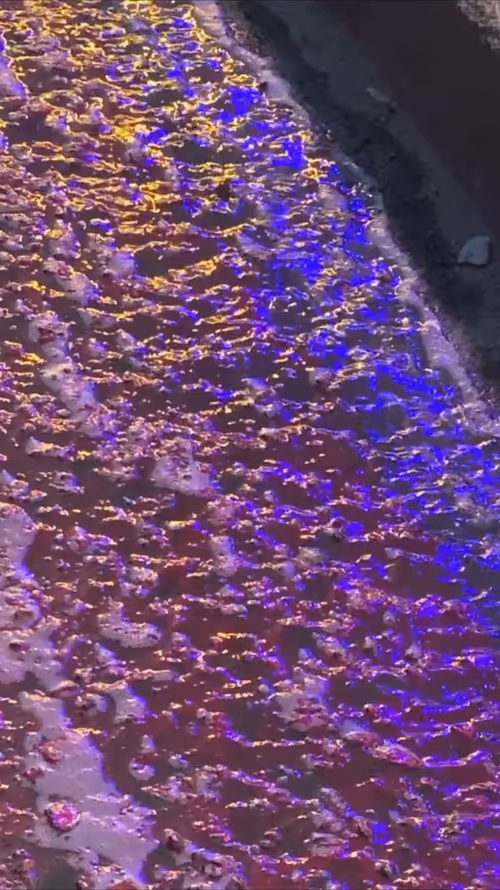 Item #62402000334580523921237358418718502457721815832787791947048085152959597379585 Media