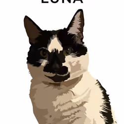 LUNA