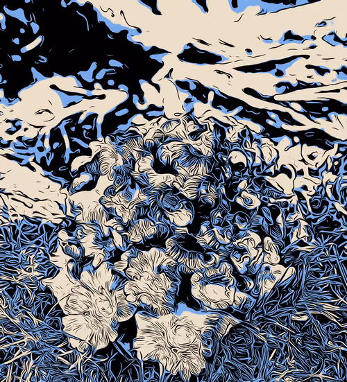 Item #58168556705048543311042401464880847882630423965108893953864887627540424818689 Media