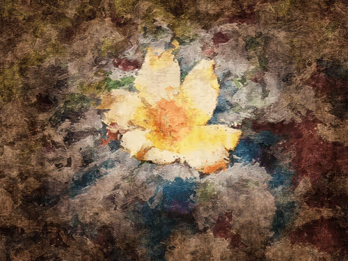 Item #69261177602478584146078213691104273677815526894191982293268527788073139830785 Media