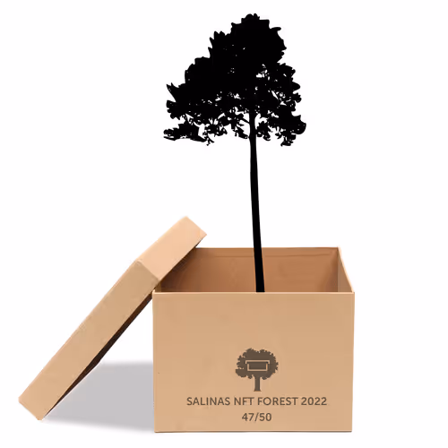 Item #63532776318757439562276927313719991273687356279339277108967620949735582466049 Media