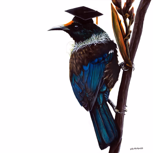 Item #92566316601435052281349829868677070960723609270409732510250099647143271727105 Media