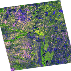 Dual Pol art