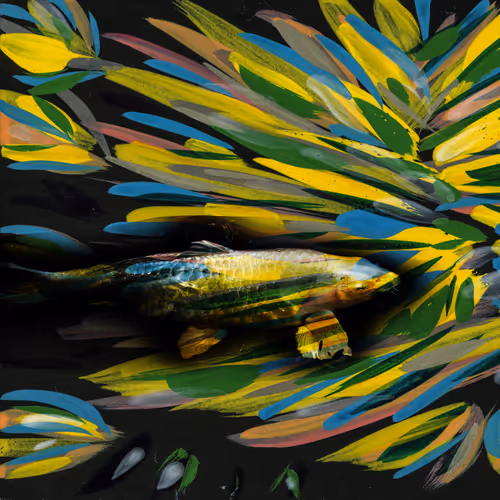 Item #99440989143313326318844898632848722044945652969793679238659256399987809976321 Media