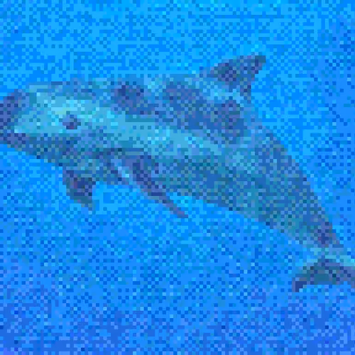 Vaquita #20