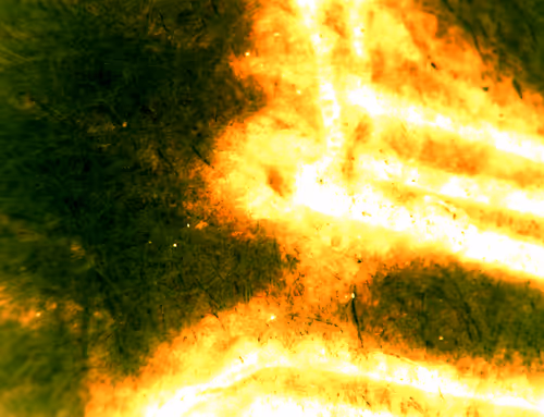 Item #71646257518770613568983710813551014237803002136866425209291834349550494023681 Media