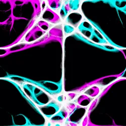 51929734946411346289540790635765095060363125039145709683616697112277240774657